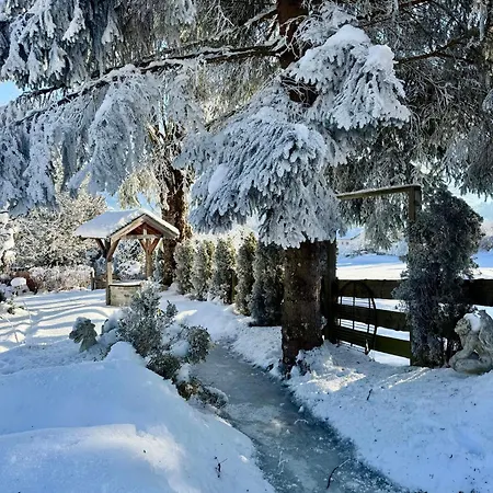 Alpen Apartment Unterberger Am Steinernen Meer Saalfelden