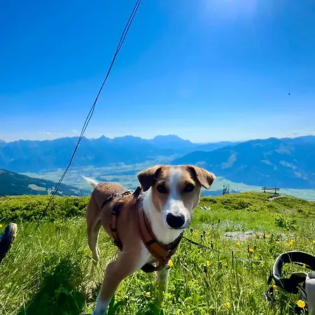 Alpen Apartment Unterberger Am Steinernen Meer Apartament Saalfelden